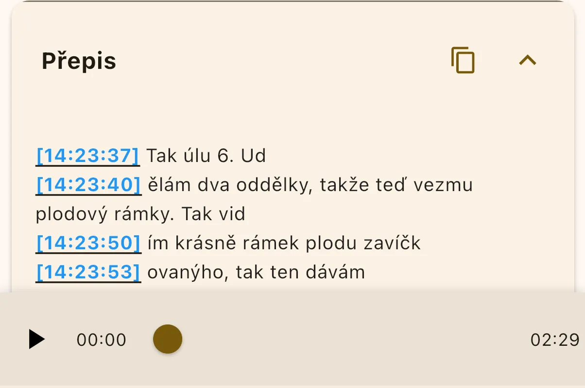 Ukázka přepisu a přehrávače