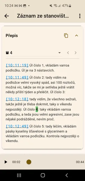 Čitelný přepis na detailu zápisu